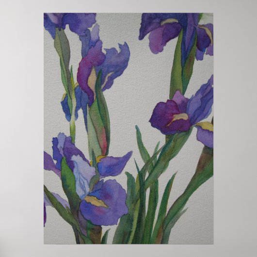 Blue Iris Poster (Vorne)