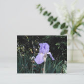 Blue Iris Postkarte (Stehend Vorderseite)