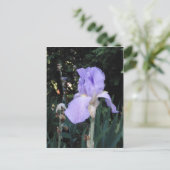 Blue Iris Postkarte (Stehend Vorderseite)