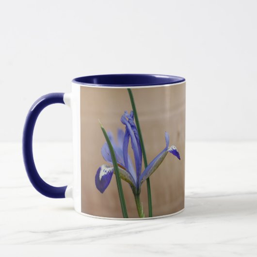 Blue Iris Reticulata Tasse (Links)