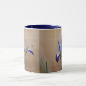 Blue Iris Reticulata Tasse (Zentrum)