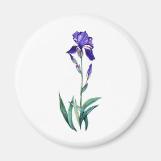 Blue Iris von PMACarlson Magnet