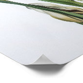 Blue Irische Blume Art Print Poster (Ecke)