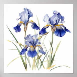 Blue Irische Blume Art Print Poster