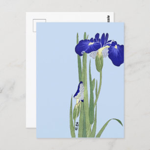 Blue Irises von Ohara Koson Postkarte