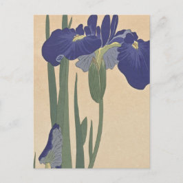 Blue Irises von Ohara Koson Postkarte