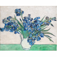 Blue Irises von Vincent Van Gogh Fine Art