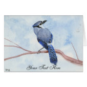 Blue Jay (Vorderseite (Horizontal))