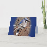 Blue Jay 8878 Ovlgct-Anpassen beliebiger Ereigniss