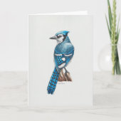 Blue Jay Art Card Dankeskarte (Vorderseite)
