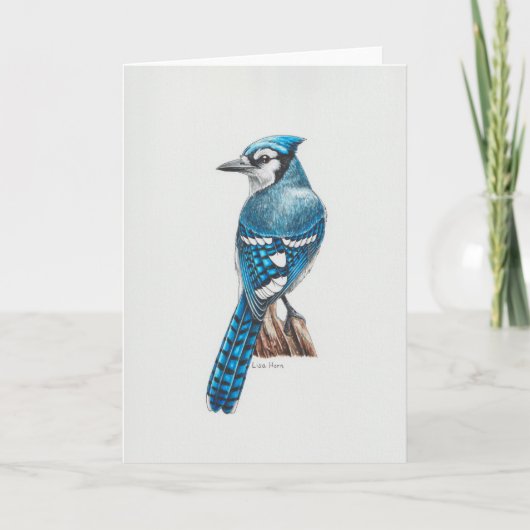Blue Jay Art Card Dankeskarte (Vorderseite)