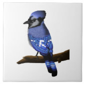 Blue Jay Art   Fliese (Vorderseite)