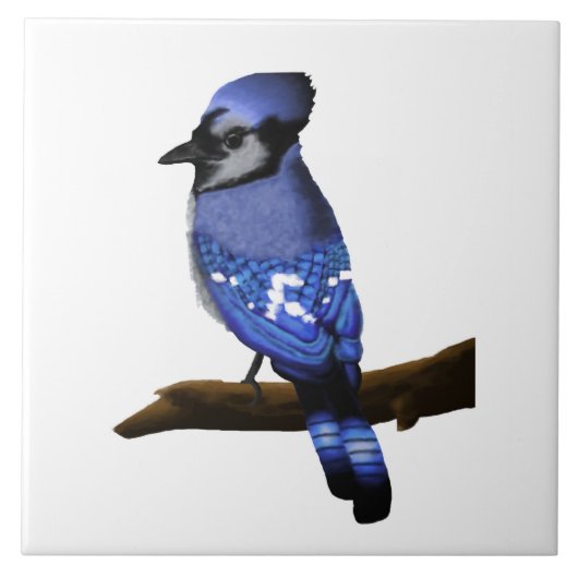 Blue Jay Art   Fliese (Vorderseite)