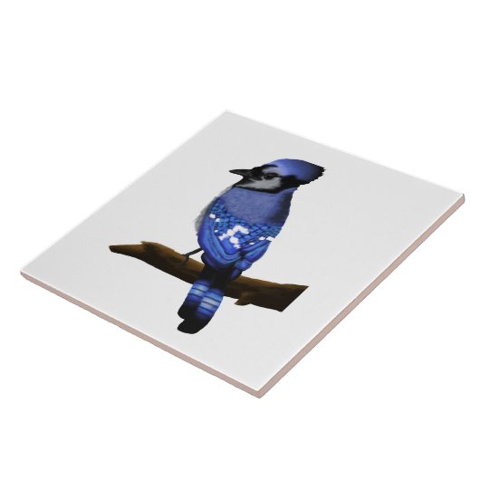 Blue Jay Art   Fliese (Seite)