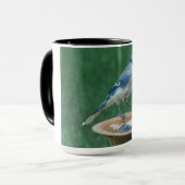Blue Jay auf Bird Bath Bird Fotografy 15oz Coffee Tasse (Vorderseite Links)
