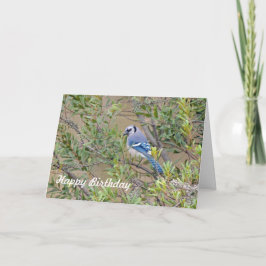 Blue Jay auf der Southern Wax Myrtle Birthday Card Karte