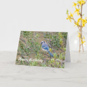 Blue Jay auf der Southern Wax Myrtle Birthday Card Karte (Gelbe Blume)