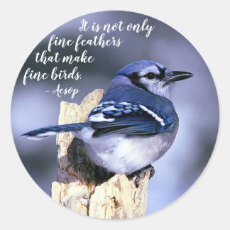 Blue Jay auf Post Wildlife Fotografy Nature Runder Aufkleber