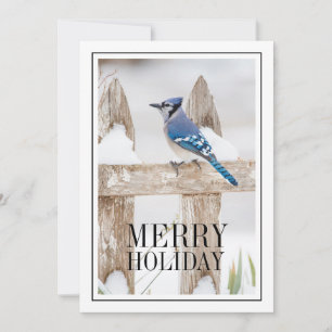Blue Jay auf Snowy Fence Feiertagskarte