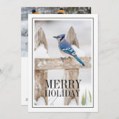 Blue Jay auf Snowy Fence Feiertagskarte (Vorne/Hinten)