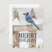 Blue Jay auf Snowy Fence Feiertagspostkarte (Vorne/Hinten)