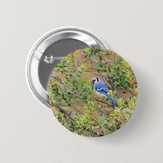 Blue Jay auf Wax Myrtle Button (Vorne & Hinten)