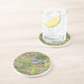 Blue Jay auf Wax Myrtle Getränkeuntersetzer (Seite)