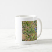 Blue Jay auf Wax Myrtle Kaffeetasse (VorderseiteRechts)