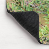 Blue Jay auf Wax Myrtle Mousepad (Ecke)