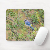 Blue Jay auf Wax Myrtle Mousepad (Mit Mouse)