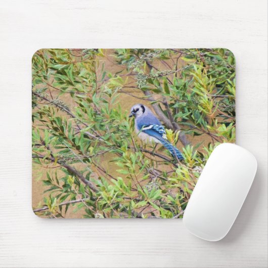 Blue Jay auf Wax Myrtle Mousepad (Mit Mouse)