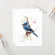 Blue Jay Beautiful Watercolor Note Card