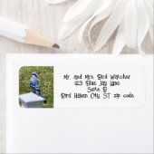 Blue Jay, Bird Address Labels (Insitu)