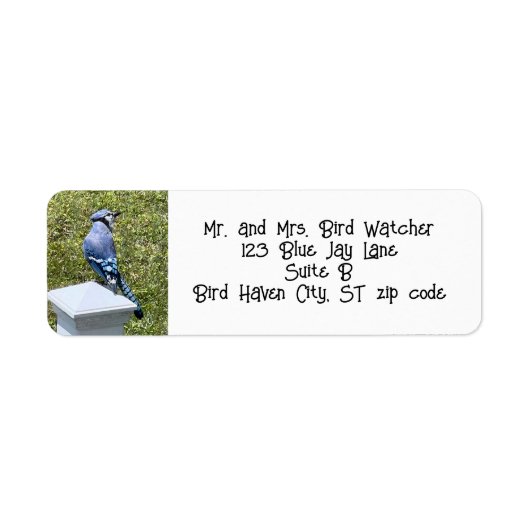 Blue Jay, Bird Address Labels (Vorne)