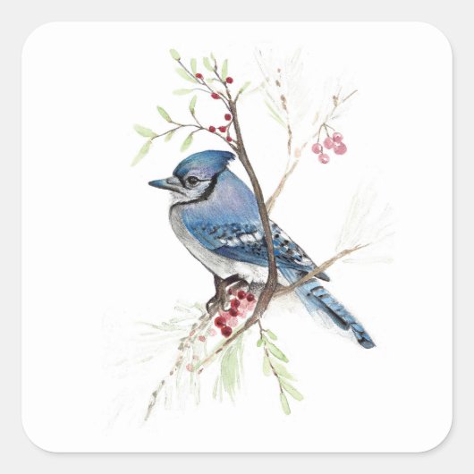 Blue Jay Bird Berries Square Sticker (Vorderseite)