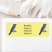 Blue Jay bird Cartoon (Insitu)