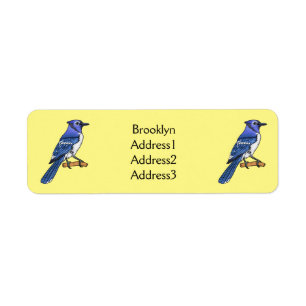 Blue Jay bird Cartoon