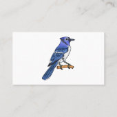 Blue Jay bird Cartoon Visitenkarte (Rückseite)