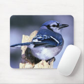 Blue Jay Bird Liebhaber Mousepad (Mit Mouse)