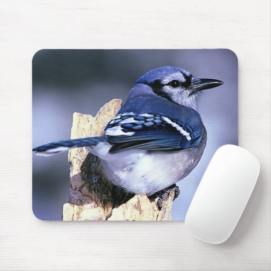 Blue Jay Bird Liebhaber Mousepad (Mit Mouse)