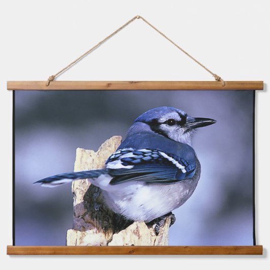 Blue Jay Bird Liebhaber Wandteppich Mit Holzrahmen (Vorne)