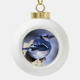 Blue Jay Bird Liebhaber Weihnachten Keramik Kugel-Ornament
