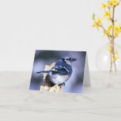 Blue Jay Bird Lovers Karte (Gelbe Blume)