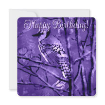 Blue Jay Bird Pink Abstrakte Kunst Personalisiert