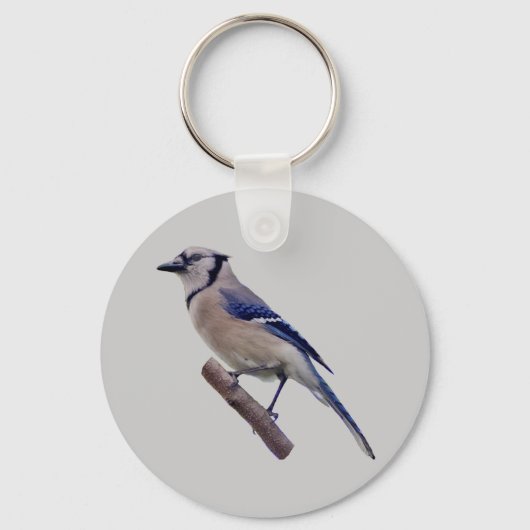 Blue Jay Bird Schlüsselanhänger (Vorderseite)