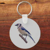 Blue Jay Bird Schlüsselanhänger (Vorderseite)