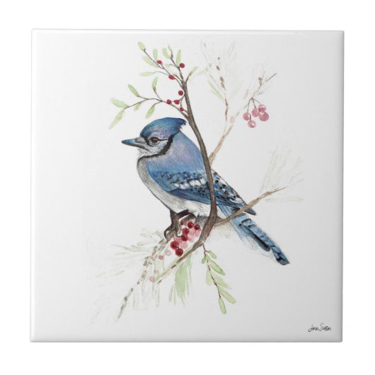 Blue Jay Bird Wasserfarbe Keramik Tile Fliese (Vorderseite)