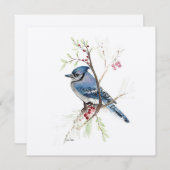 Blue Jay Bird Watercolor (Vorne/Hinten)