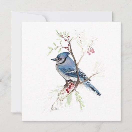Blue Jay Bird Watercolor (Vorderseite)