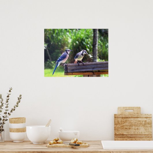 Blue Jay Birds Backyard Bird Feeder Poster Foto (Küche)